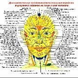 Отзывы по Фабулам Антона Траска