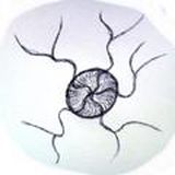 ПроСтранности