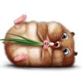 Выгонка лука | FAQ*