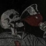 птица летит к горе