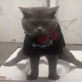 NoobasinaPROMO | CSGORUN, CSFAIL