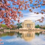 Washington D.C🇮🇱🇺🇸