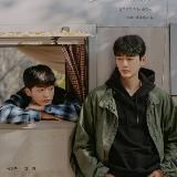 Вишня цветёт после зимы