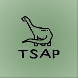 Кроссовки “TSAP”