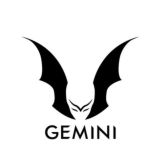 GeminiGlobalAnonymousAlliance