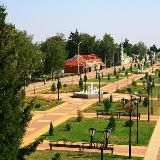 Грайворон 24