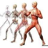 ❗ЛФК ФИТНЕС ДИЕТОЛОГИЯ РЕАБИЛИТАЦИЯ МАНУАЛЬНАЯ ТЕРАПИЯ БИОХИМИЯ