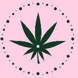 CANNA TIME™