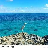 Точная Аналитика