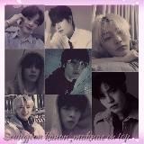 сынчоны канон, макнэ он топ