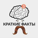 Краткие Факты
