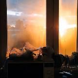 Китовая еда х2