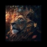 Lion Bets🔥