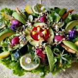 Ur,-Rohkost und echter Veganismus