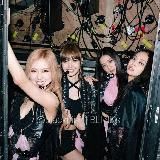 𐙚 ᴏɴʟʏ ʙʟᴀᴄᴋᴘɪɴᴋ ! 🐾