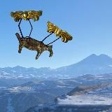 Успехи кавказской археологии