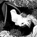 ptirxh щитпост