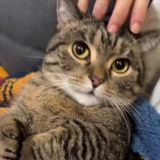 Лучшие ребята