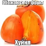 кмфа уехала АРХИВ