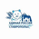 Единая Россия/Лермонтовское МО