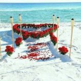 💞 TαηιsHυν σLαmι 💕