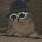 🇿🇦SHOWMAX SERIES∞🇿🇦