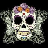 За периметром