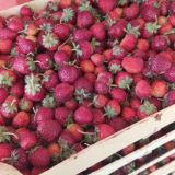 Ягода/фрукты/форель из Киргизии в Томске😋