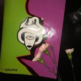 Шкурский чат