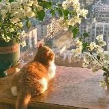 рест! starexx — aleXWriteS | Старекс пишет... 📖