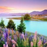 Прекрасный мир