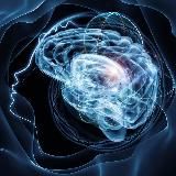 Работа∣Обнал∣СНГ Darkcat™ (ᵔᴥᵔ)