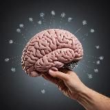 Мозг. Upgrade. Блог Психолога.