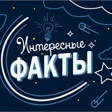 Интересные Факты 🌋