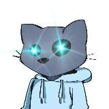 Mr. Freeman codes Answers