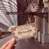 ~Chat 🐾ʜᴇʟᴘ ғᴏʀ ᴇᴠᴇʀʏᴏɴᴇ🐾