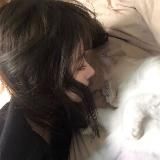 подполье лихикари