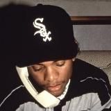 YERTLE черепаха 🐢