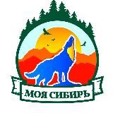 Моя Сибирь | Алтай | Камчатка | Байкал