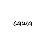 саша