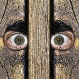 Карельский наблюдатель