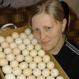 🥚🐣Птичий дворик🐤🐔