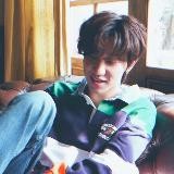 Seventeen World Domination ✨