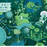 Б И О Л О Г И Я[Тесты и задачи]