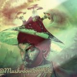 Чат Грибоедов