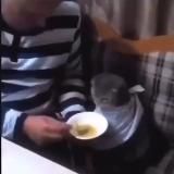 ꧁༺𝓟𝓾𝓼𝓱𝓲𝓼𝓽𝓪𝔂𝓪༻꧂