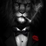 𓃬 🔥𝙇𝙎𝙊_𝘾𝙃𝘼𝙉𝙉𝙀𝙇🔥 𓃬