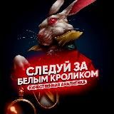 Белый Кролик