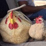 «Пчела» и прочие российские медиа