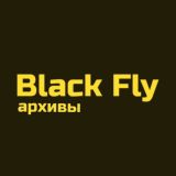 Black Fly архивы